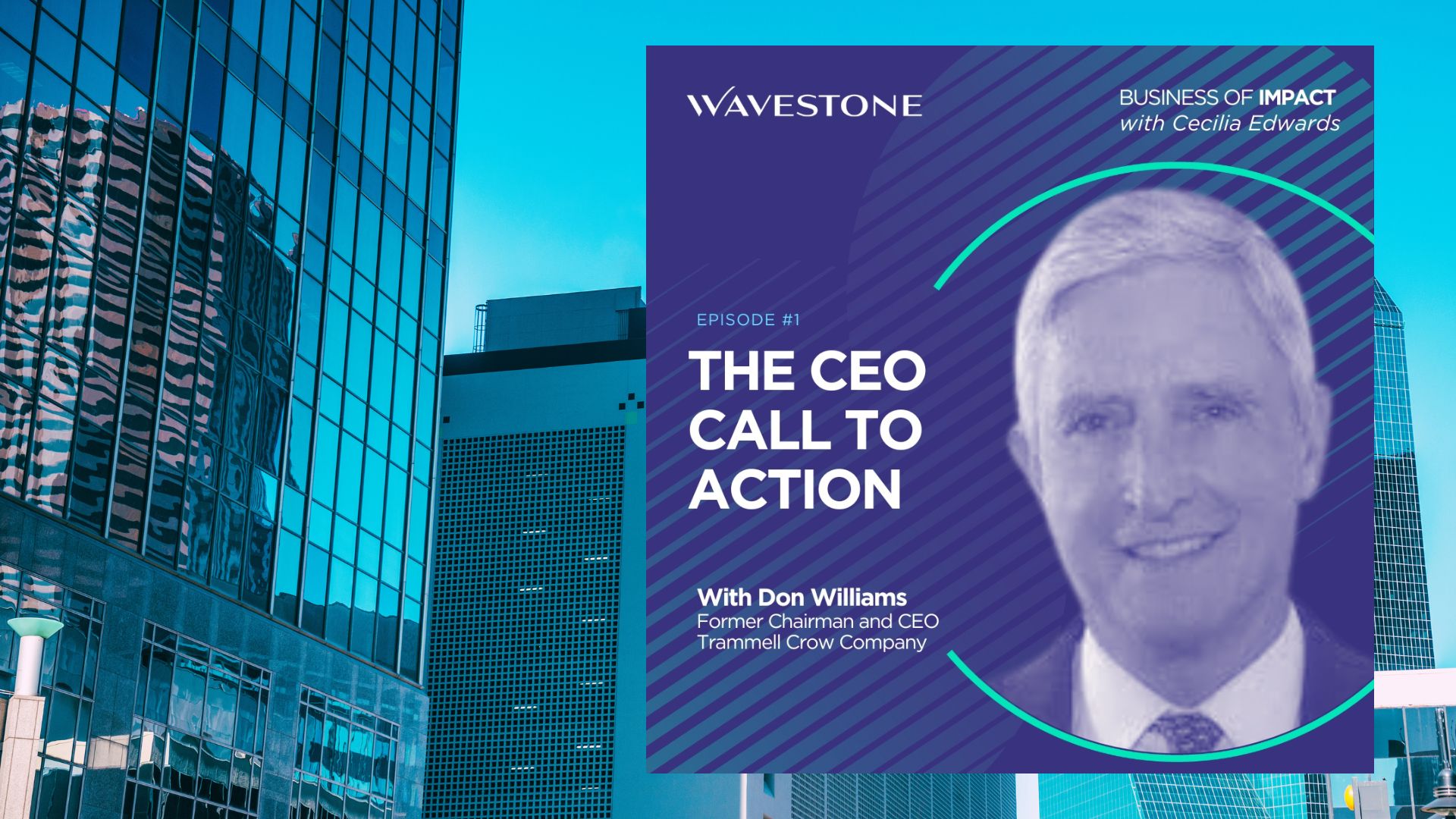 Episode 1 with Don Williams | The CEO Call to Action