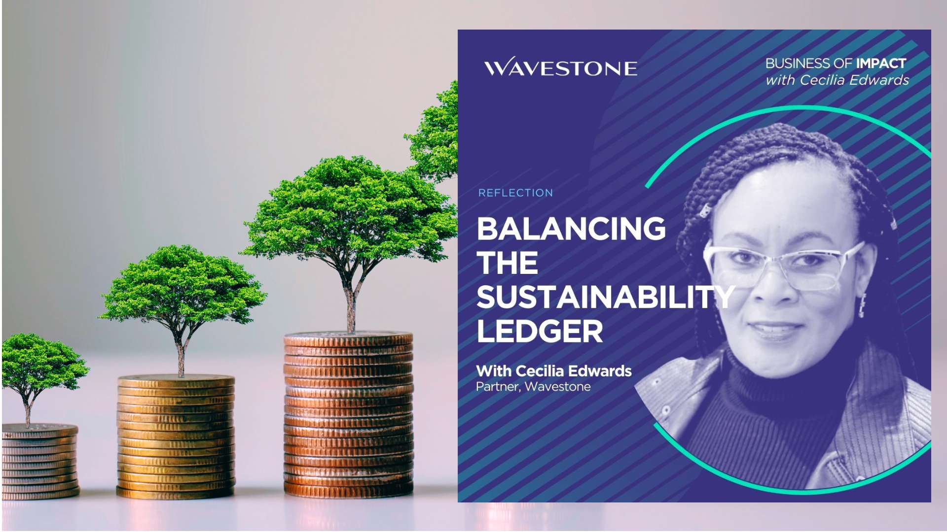 Reflection | Balancing the Sustainability Ledger